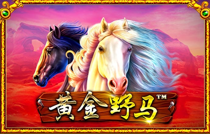 849彩票平台最新版下载安装